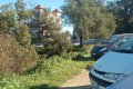 img050.jpeg.small.jpeg