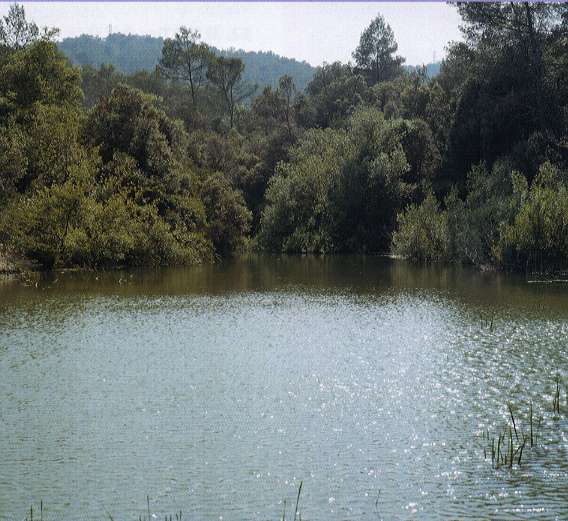 El pant de Vallvidrera.