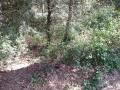 img060.jpeg.small.jpeg