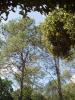 img061.jpeg.small.jpeg