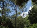 img062.jpeg.small.jpeg