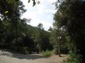 img063.jpeg.small.jpeg