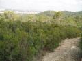img065.jpeg.small.jpeg