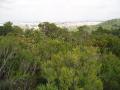 img067.jpeg.small.jpeg