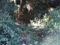 img056.jpeg.small.jpeg